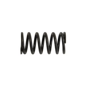 Compression Spring (208-298-0100)